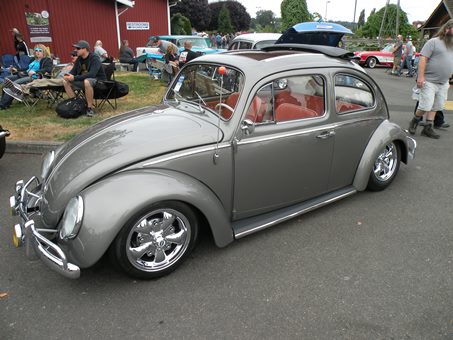 silver bug